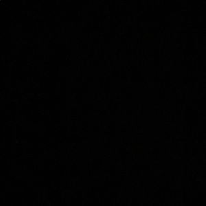 Meet your Posher, Alani